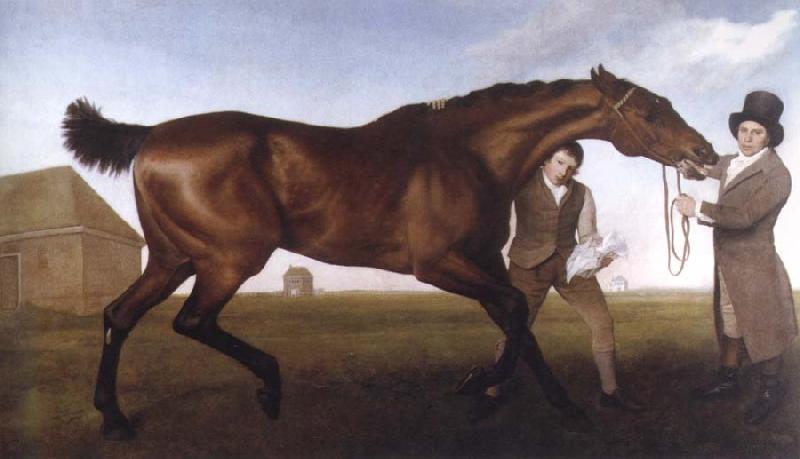 George Stubbs hambletonian,rubbing down oil painting image
